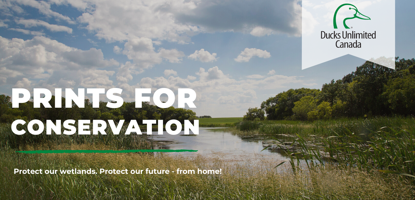 Ducks Unlimited Header